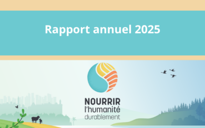 Rapport annuel 2025